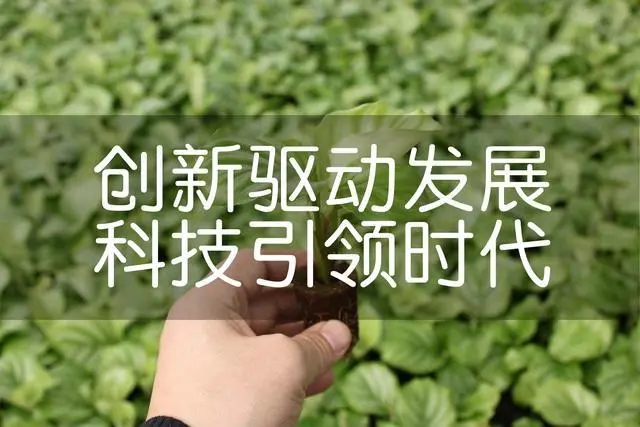 u=1064315222,1772182171&fm=253&fmt=auto&app=120&f=JPEG.webp.jpg